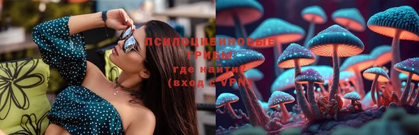 ПСИЛОЦИБИНОВЫЕ ГРИБЫ Аркадак
