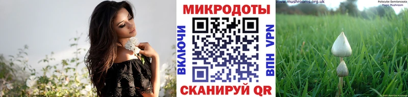где можно купить сайты даркнета клад Галлюциногенные грибы Cubensis Печоры